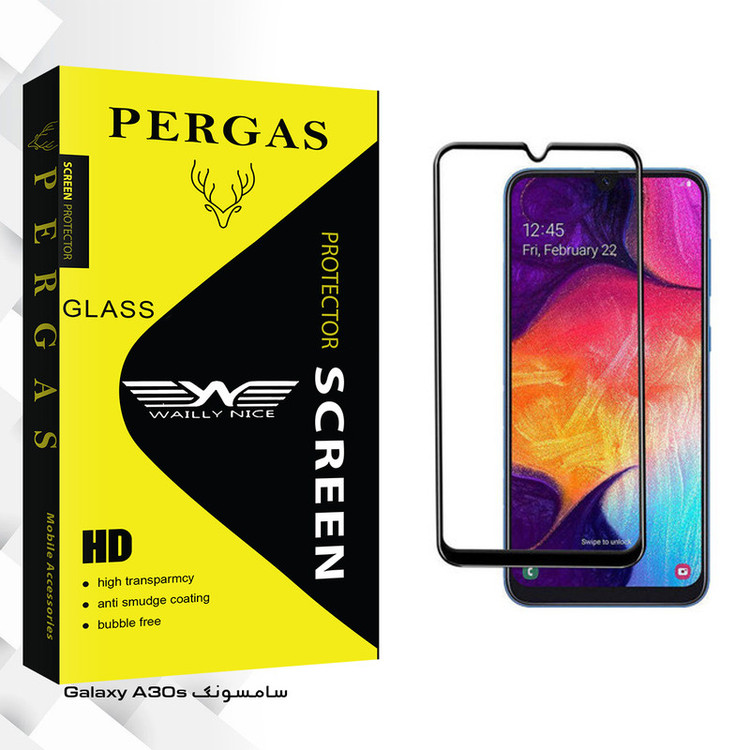 محافظ صفحه نمایش وایلی نایس مدل Pergas Glass مناسب برای گوشی موبایل سامسونگ Galaxy A30s