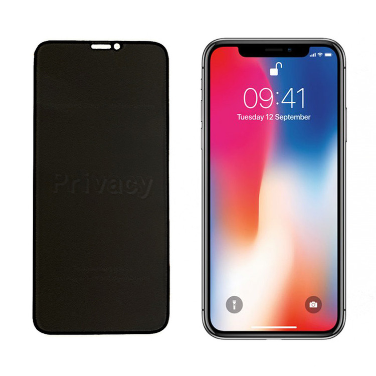 محافظ صفحه نمایش حریم شخصی گریفین مدل FLPRC GN to مناسب برای گوشی موبایل اپل iPhone11 Pro