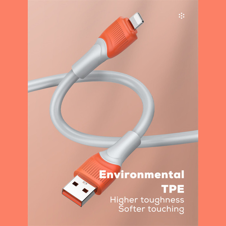 کابل تبدیل USB به USB-C الدینیو مدل LS-601 طول 1 متر