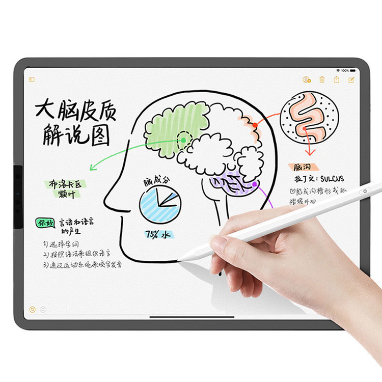 محافظ صفحه نمایش مات بوف مدل Magnetic مناسب برای تبلت اپل iPad Pro 9.7 2018/2017/2016