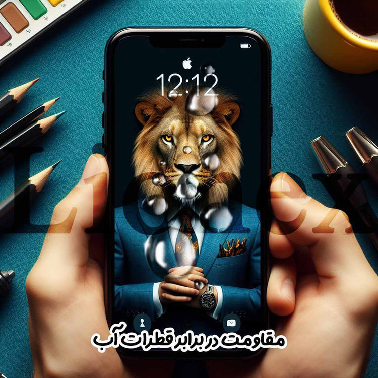 محافظ صفحه نمایش لایونکس مدل FUNABKLI مناسب برای گوشی موبایل اپل iPhone XS Max به همراه محافظ پشت گوشی