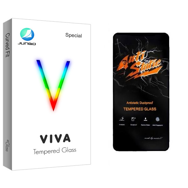 محافظ صفحه نمایش جانبو مدل Viva Anti Static مناسب برای گوشی موبایل اپل IPHONE 13 PRO
