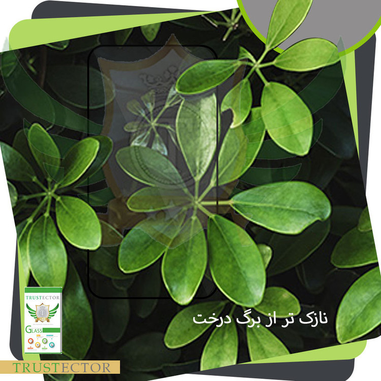 محافظ صفحه نمایش سرامیکی تراستکتور مدل CMC-T مناسب برای گوشی موبایل هایسنس E50