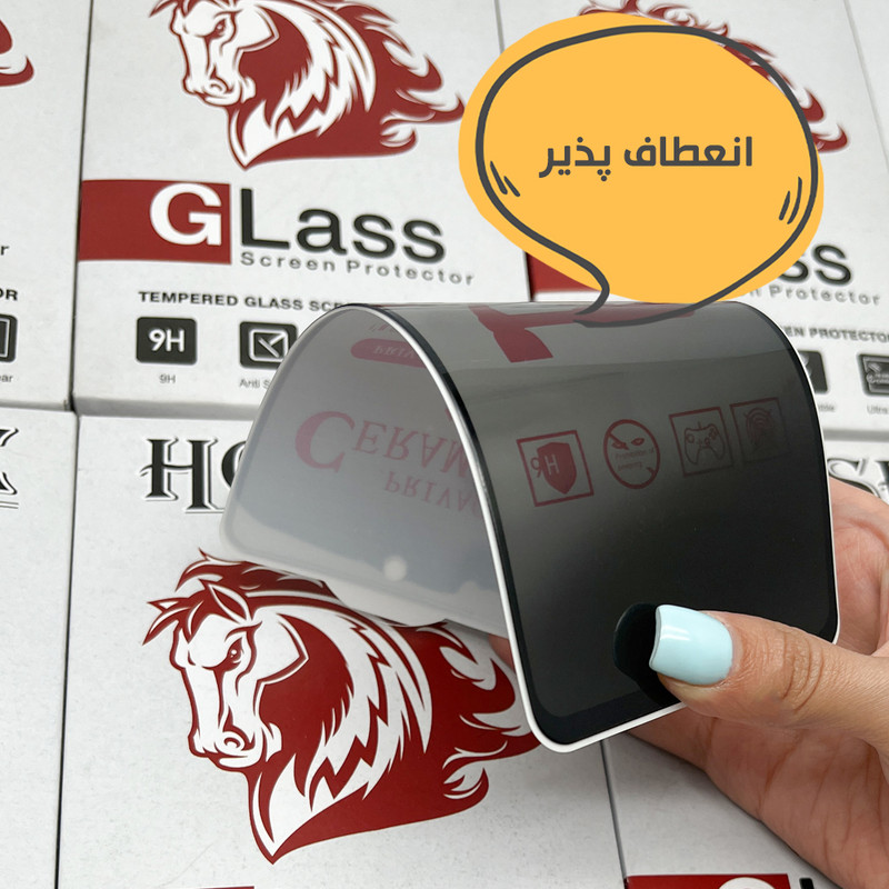 محافظ صفحه نمایش حریم شخصی هورس مدل SLPRICRHO مناسب برای گوشی موبایل اپل iPhone 11 Pro / XS / X